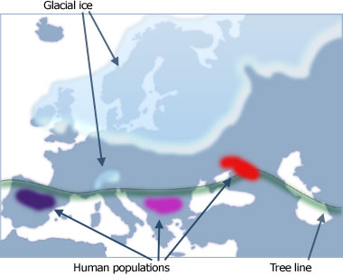 europe_haplogroups_1